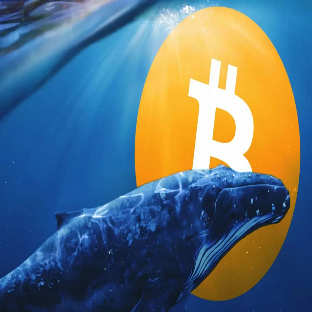 Bitcoin ve Kripto Para Piyasası Neden Çöktü? Tüm Detaylar