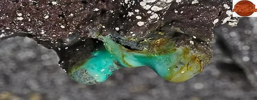 Antik Lav Mağaralarında 70 Yeni Mikrop Türü Keşfedildi