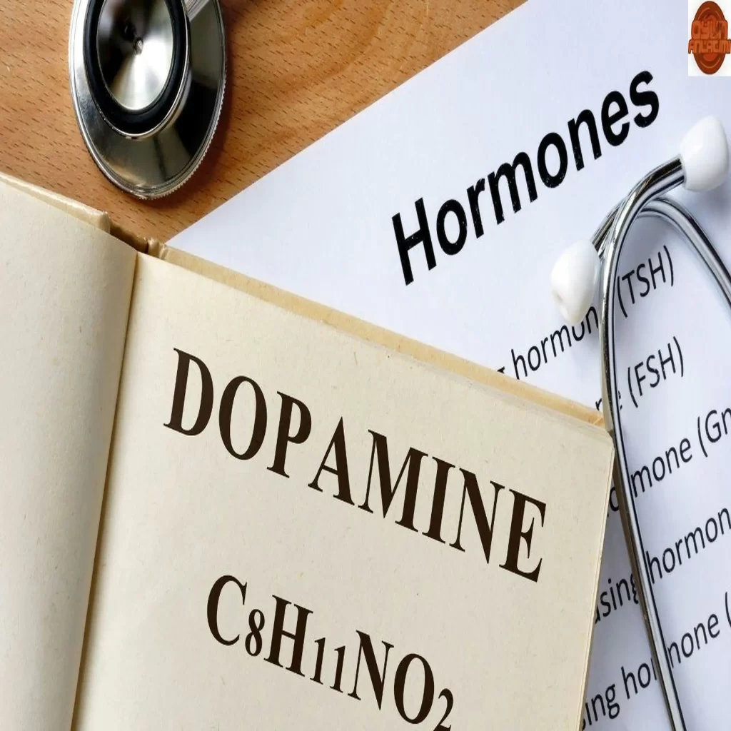 Dopamin Nedir ve Eksikliği Nelere Yol Açar?