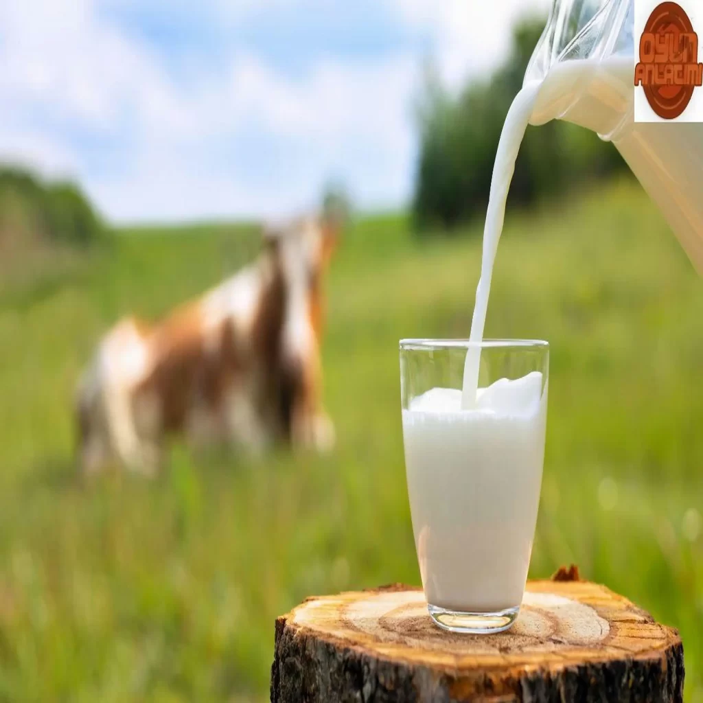 Protein Kaynağı Sütün Faydaları Nelerdir?